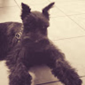 Meet your Posher, Lee